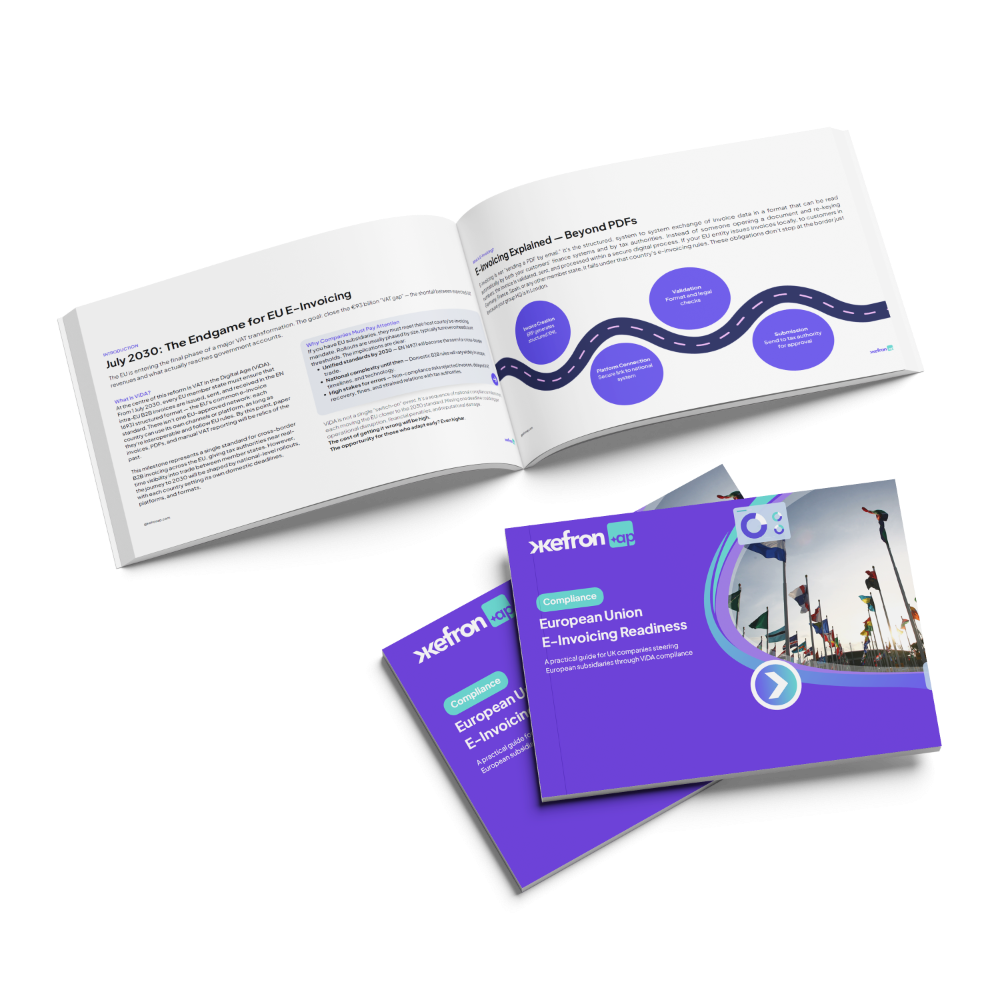 E-Invoicing Guide-1
