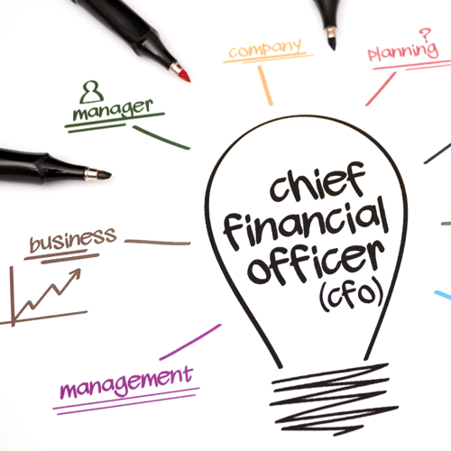 CFO Insights: Mastering Your Transition to Finance Leadership