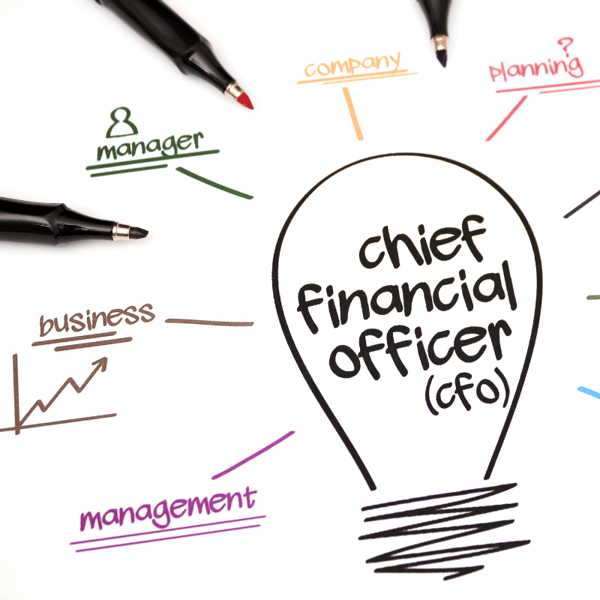CFO Insights: Mastering Your Transition to Finance Leadership