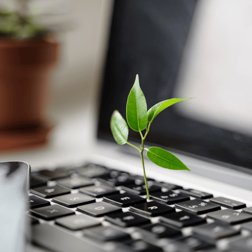 Plan and Run an IT Asset Disposal Project