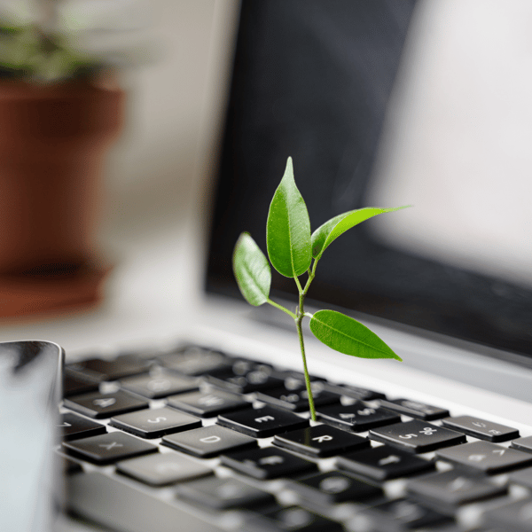 How to Plan and Run an IT Asset Disposal Project: A Step-by-Step Guide